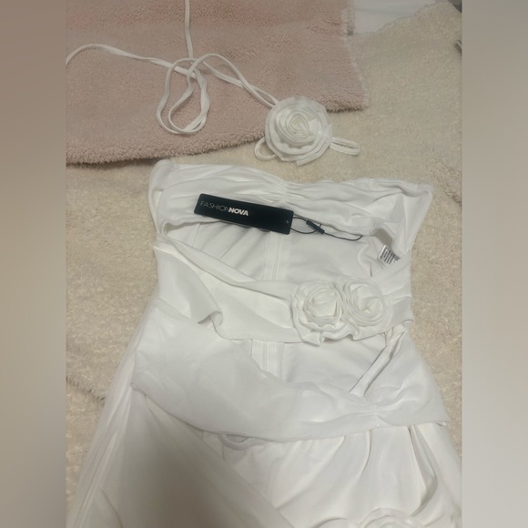 NWT FASHION NOVA ROSES ON ROSES MESH MINI DRESS - Picture 4 of 6